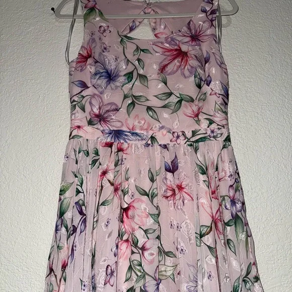 Marchesa NottePleated Blush Dress size 4